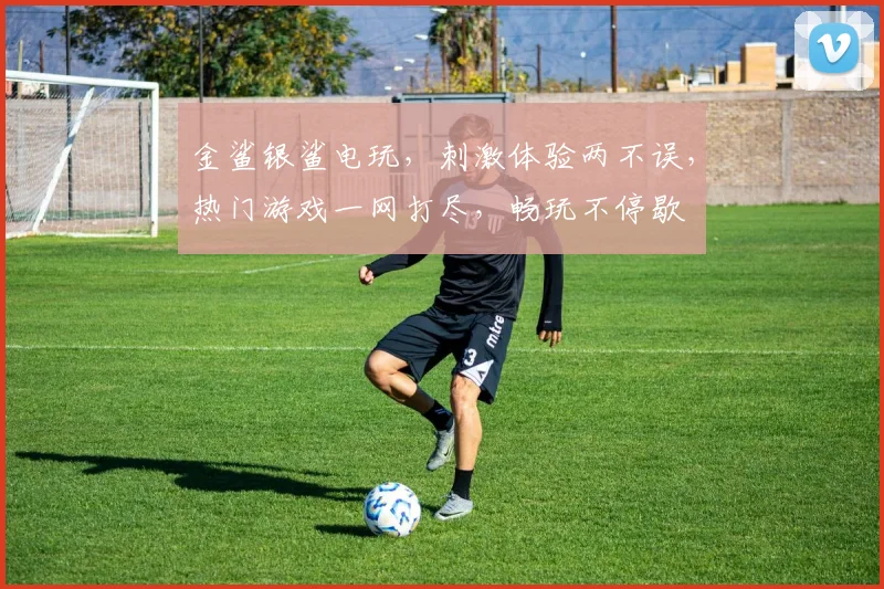 金鲨银鲨电玩，刺激体验两不误，热门游戏一网打尽，畅玩不停歇