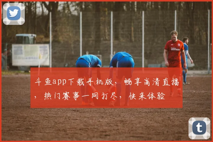 斗鱼app下载手机版，畅享高清直播，热门赛事一网打尽，快来体验